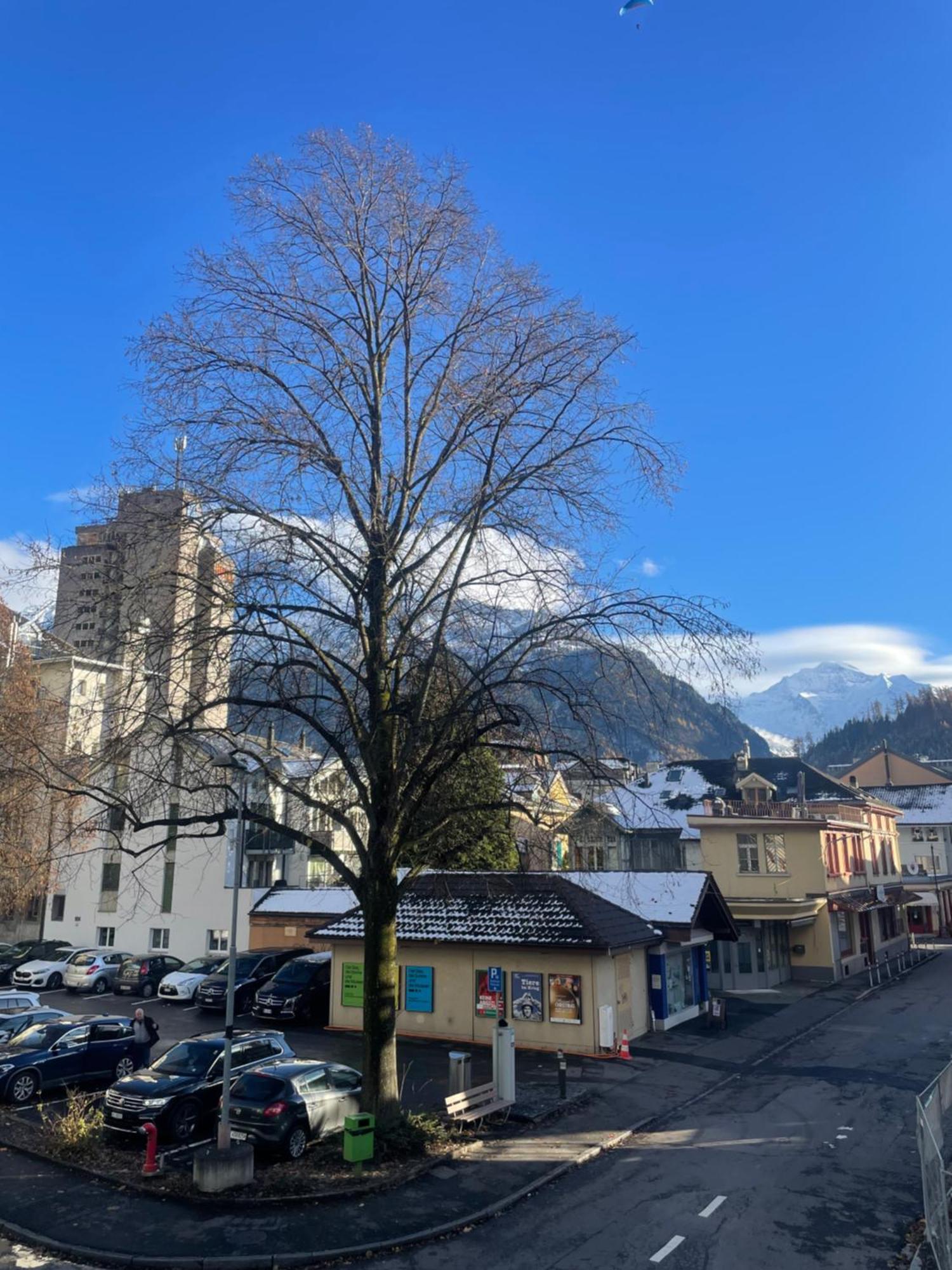 Modern City Apartments Interlaken Buitenkant foto